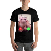 Bingus Is Calling Hairless Sphinx Cat Bingus Cat Meme  Relaxed-fit T-Shirt (Copy)